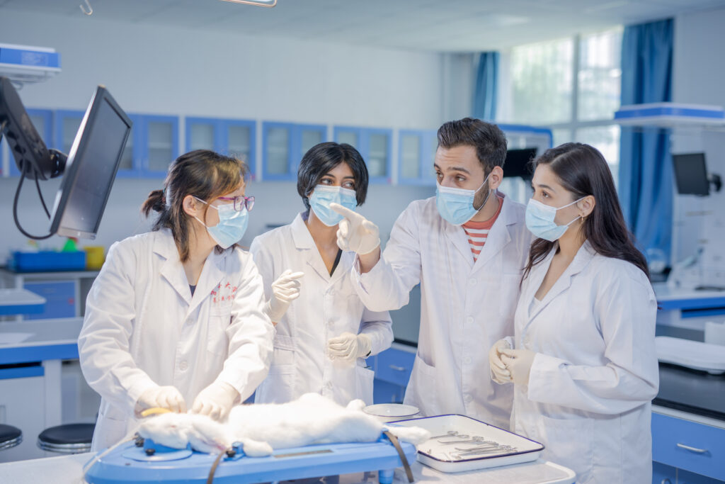 Jilin University top ranked BDS program Moe listed University of MBBS program China